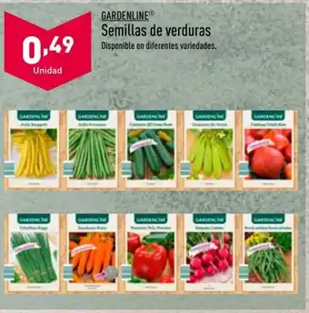 Semillas de verduras