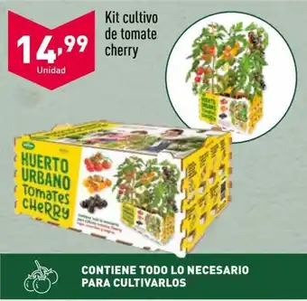 ALDI Kit cultivo de tomate cherry oferta