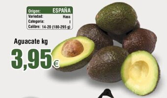 FROIZ Aguacate kg oferta