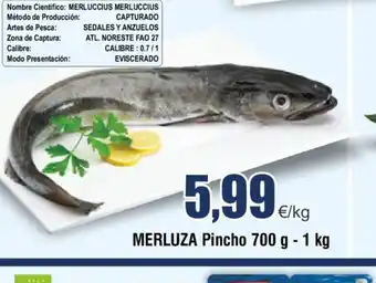 FROIZ Merluza pincho 700g oferta