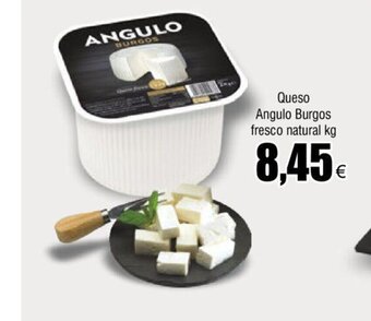 FROIZ Queso angulo burgos fresco natural oferta