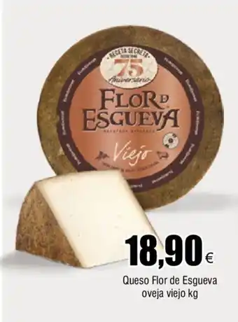 FROIZ Queso flor de esgueva oveja viejo oferta