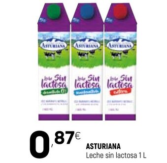 Coviran Asturiana Leche sin lactosa 1L oferta