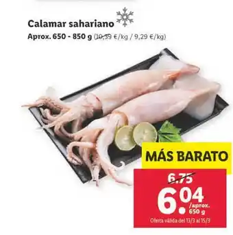 Lidl Calamar sahariano oferta