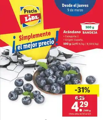 Lidl Arándano bandeja oferta