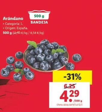 Lidl Arándano oferta