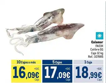 Makro Calamar fa034 oferta