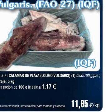 Abordo Calamar de playa (loligo vulgaris) oferta