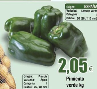 FROIZ Pimiento Verde kg oferta