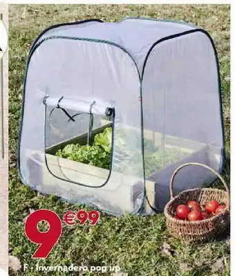 GiFi Invernadero pop p oferta