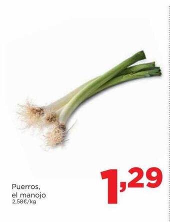 Alimerka Puerros el manojo oferta
