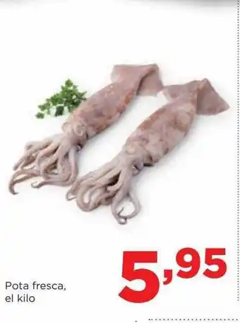 Alimerka Pote fresca, el kilo oferta