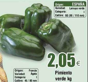 FROIZ Pimiento verde kg oferta