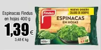 FROIZ Espinacas findus en hojas oferta