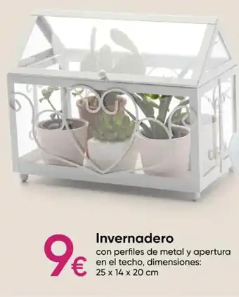 Pepco Invernadero oferta