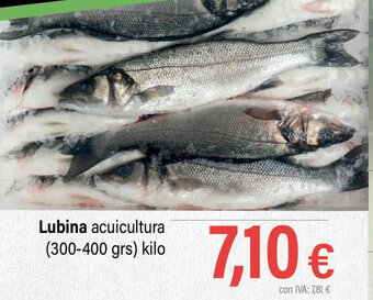 Cash Ifa Lubina oferta