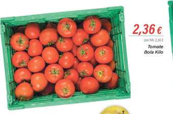 Cash Ifa Tomate Bola Kilo oferta