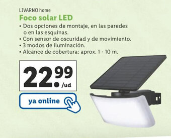Lidl Foco Solar LED oferta