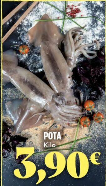 Gadis Pota oferta