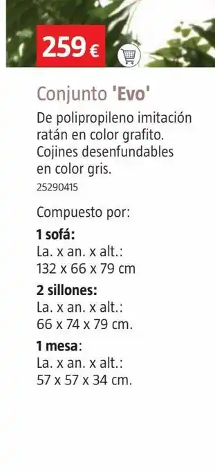 Bauhaus Conjunto evo grafito 4 piezas oferta