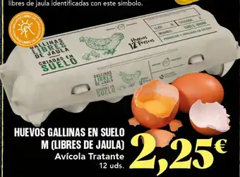 Gadis Huevos oferta