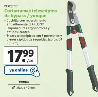 Lidl Cortarramas parkside oferta