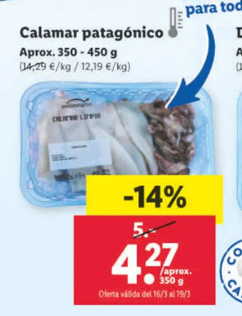 Lidl Calamar Patagónico oferta
