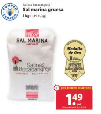 Lidl Sal Marina Gruesa oferta