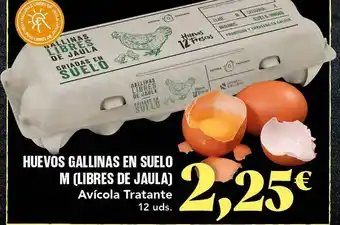 Gadis Huevos gallinas en suelo m avicola tratante oferta