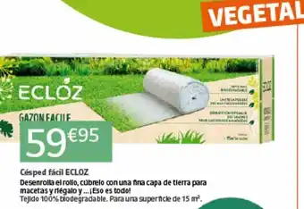 Césped fácil ecloz