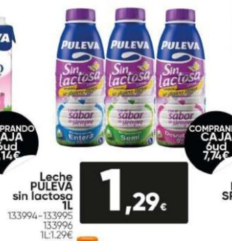 Family Cash Leche Puleva Sin Lactosa 1L oferta