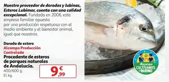 Alcampo Dorada oferta