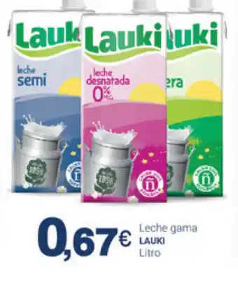 Supermercados Plaza Lauki Leche gama Litro oferta