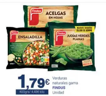 Supermercados Plaza Findus Verduras naturales gama 400grs oferta