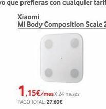 Body