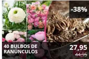 MeQuedoUno Bulbos oferta