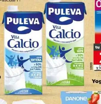 Dia Leche clacio entera semidesnatada oferta