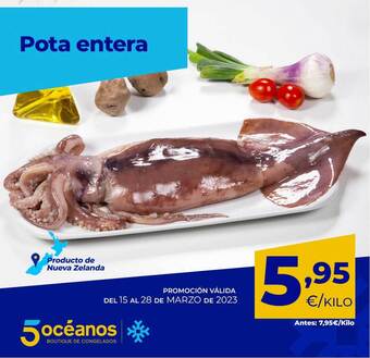 5 Océanos Pota entera oferta