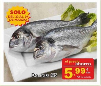 Cash Ecofamilia Dorada 4/6 oferta