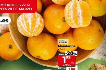 Dia Mandarina oferta