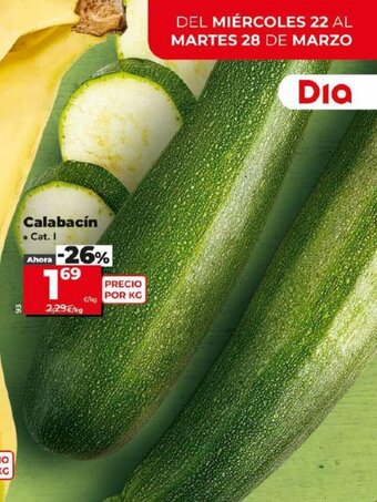 Dia Calabacín oferta
