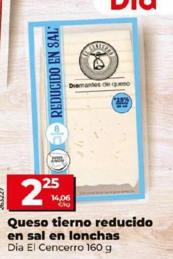 Dia Queso Tierno Reducido En Sal en Lonchas oferta