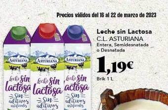 Gadis Leche sin lactosa c.l. asturiana oferta