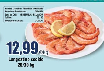 FROIZ Langostino Cocido 20/30 kg oferta
