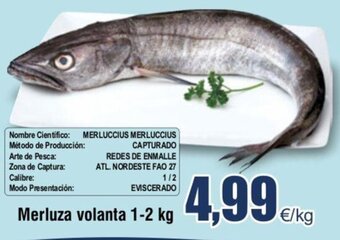FROIZ Merluza Volanta 1-2 kg oferta