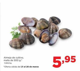 Alimerka Almeja de cultivo malla oferta