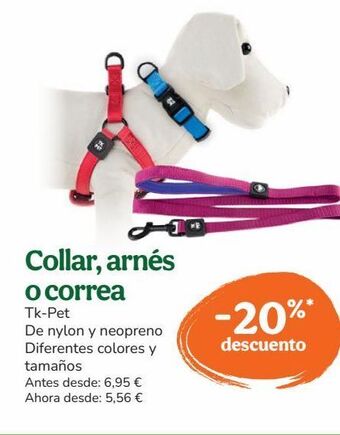 TiendAnimal Collar para perros oferta