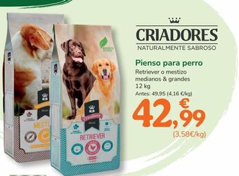 TiendAnimal Pienso para perros oferta