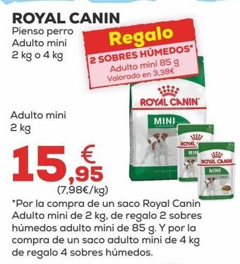 Kiwoko Pienso para perros royal canin oferta