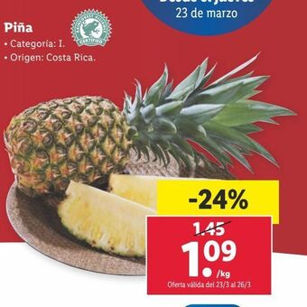 Lidl Piña oferta